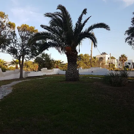 Archipelagos * Naxos City